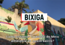Meio Ambiente: desafios do Bixiga na década da restauração